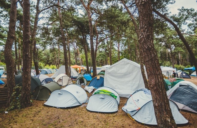 Dennenoord 30 07 2021 web 005